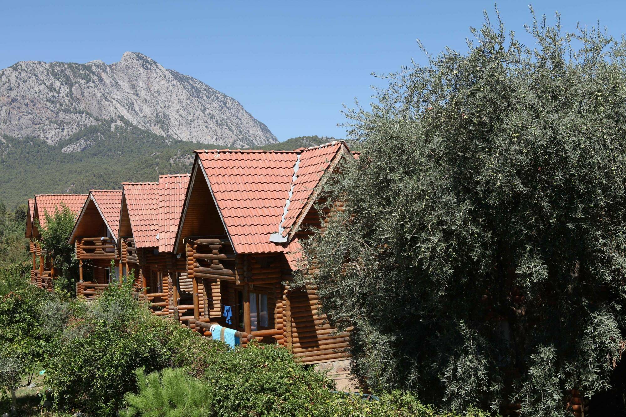 Woodline Hotel Göynük Ngoại thất bức ảnh